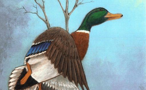 Paul Burnett Collection - Learn Leathercraft