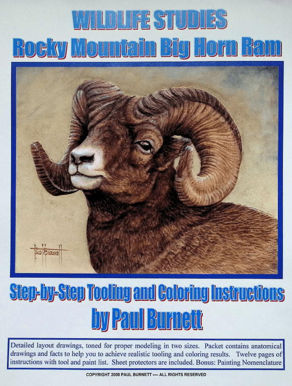 Wildlife Studies – Rocky Mountain Big Horn Ram Complete Study Course - Learn Leathercraft